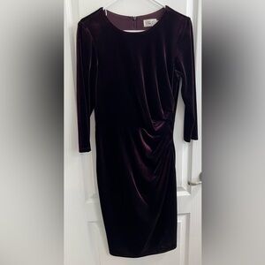 Eliza J Velvet Dress
